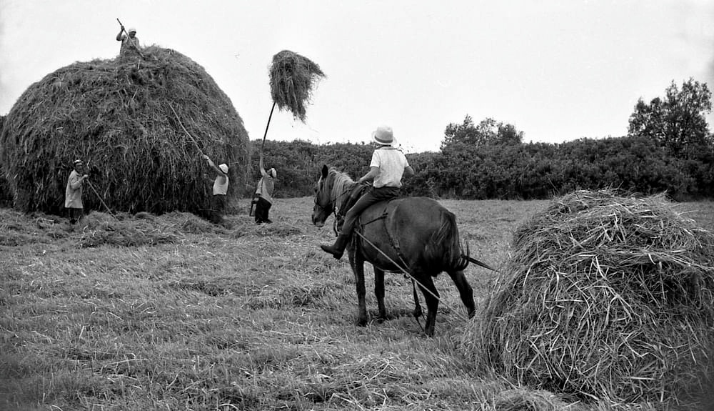 Фото из открытых источников.
