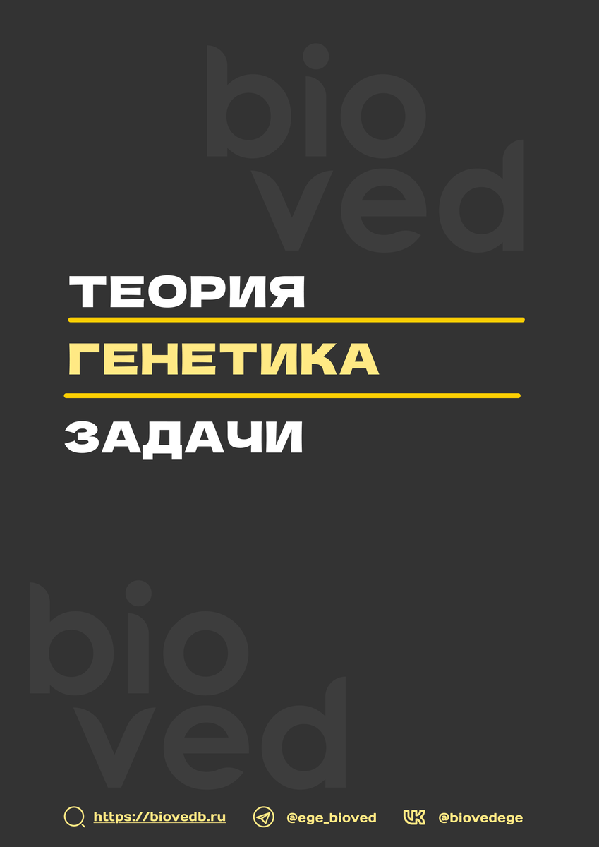Чтобы освоить все тонкости генетики и гибридизации, записывайся на курс по генетике! (ссылка на курс)