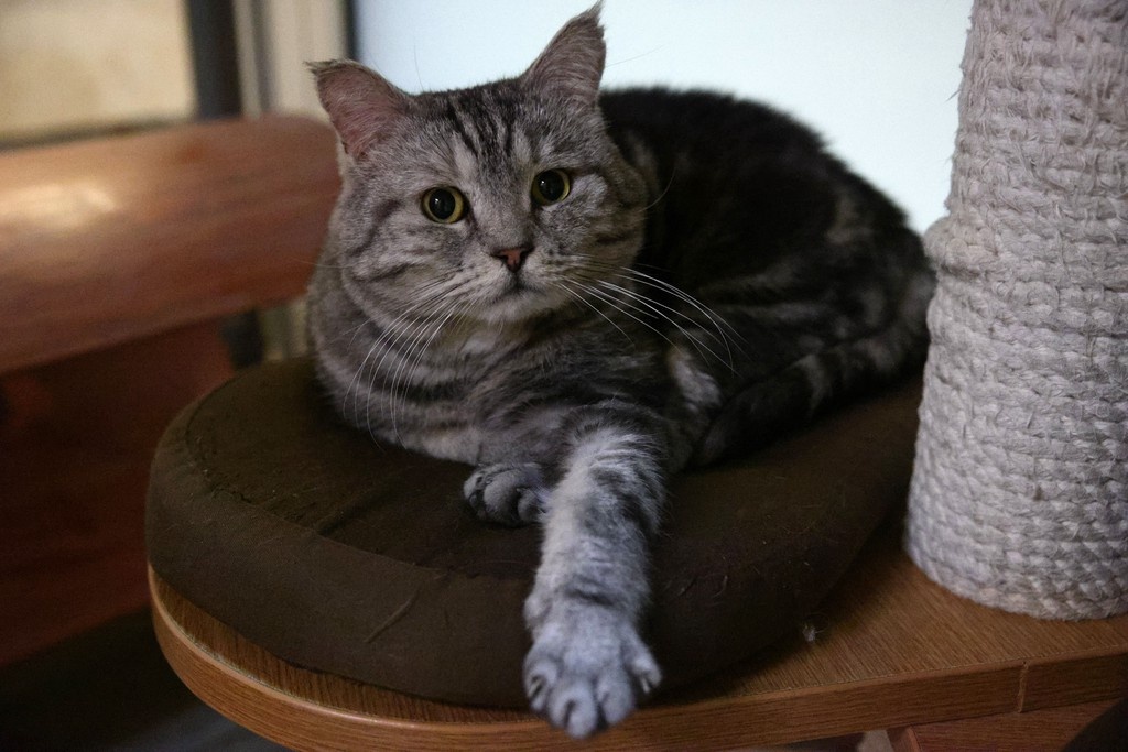    Фото © Анастасия Романова / Абзац