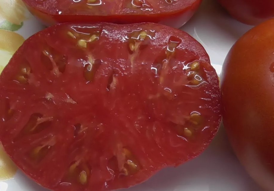 Русский богатырь