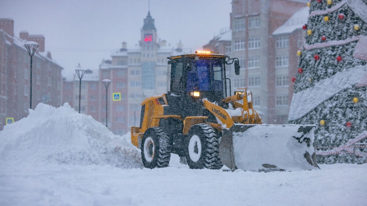    Фото: Сергей Зубков/«Ямал-Медиа»
