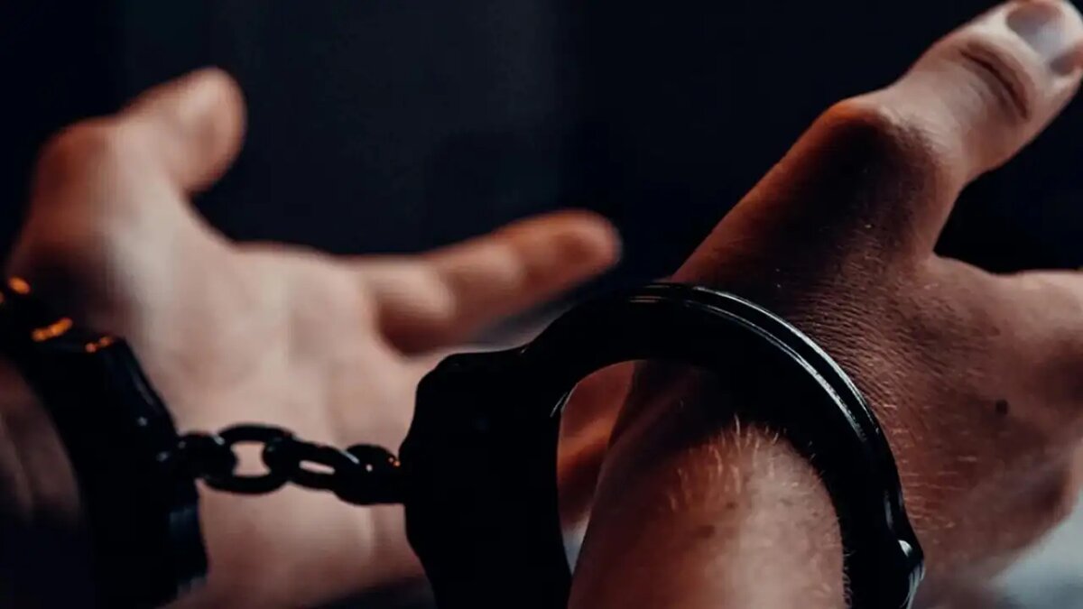    Задержанный. © Портал «МВД Медиа»