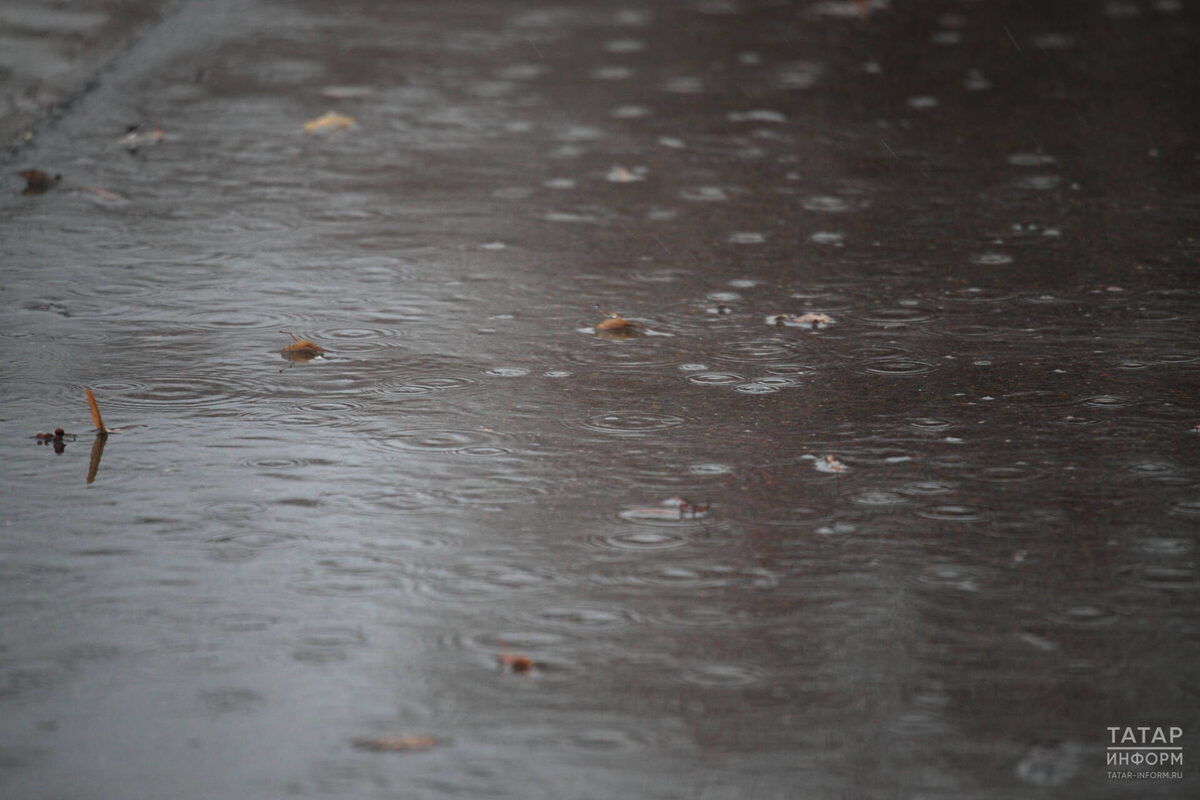 Фото: © Михаил Захаров / «Татар-информ»