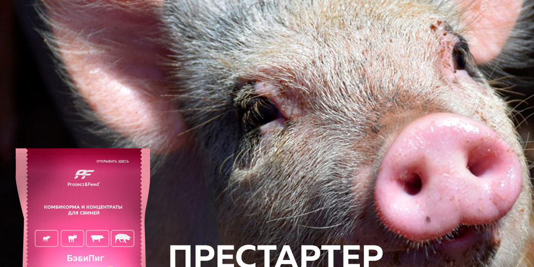 🐷 Хотите, чтобы поросята росли быстрее и без проблем со здоровьем?