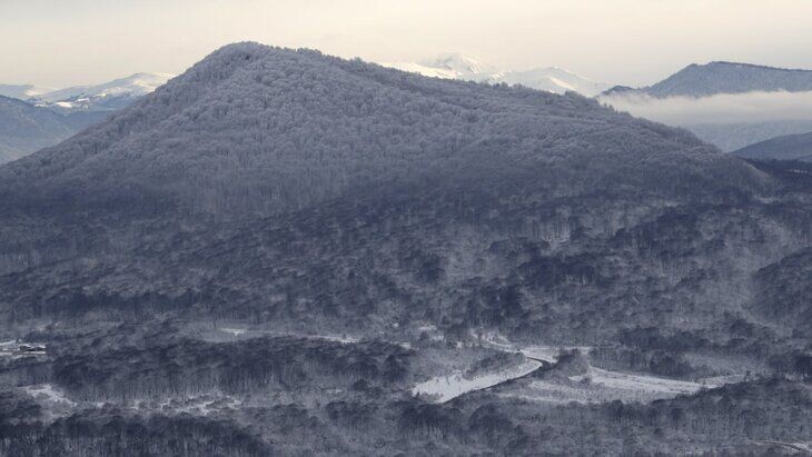     / Источник: © Дмитрий Феоктистов/ТАСС