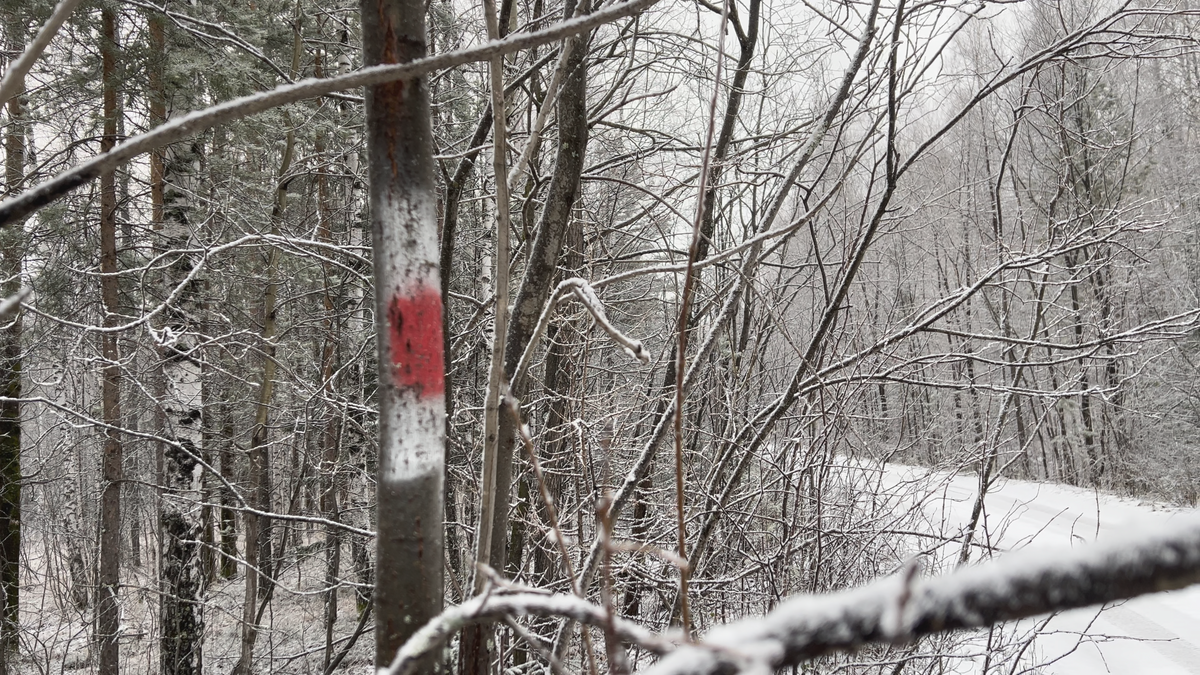 Маркеры подсказывают, что вы идёте верной тропой