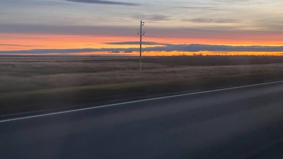    Саратовским автовладельцам направили 12 исков за сбитых животныхНовости Саратова и области – Сетевое издание «Репортер64»