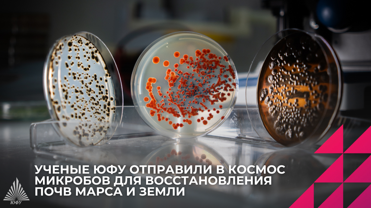 Фото: Центр общественных коммуникаций ЮФУ