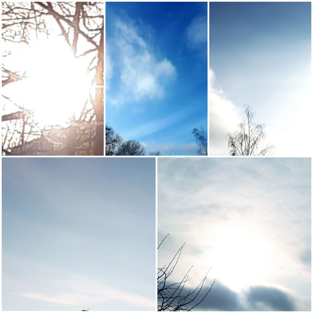 Коллаж автора статьи 20.11.2025г.