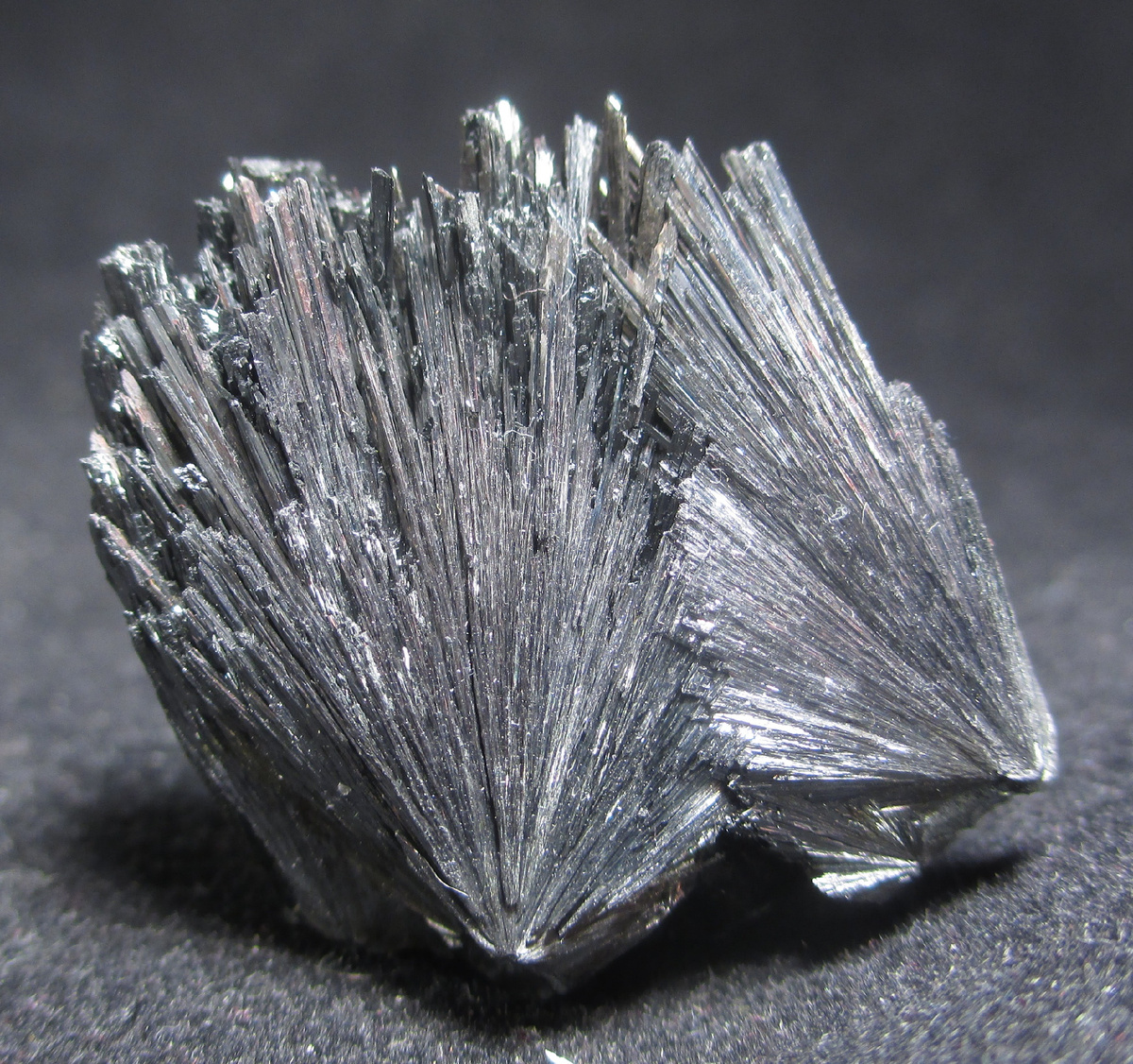 Кристаллы пиролюзита, длина до 3 см, горы Шварцвальд (Германия).     Фото: взято из en.wikipedia.org