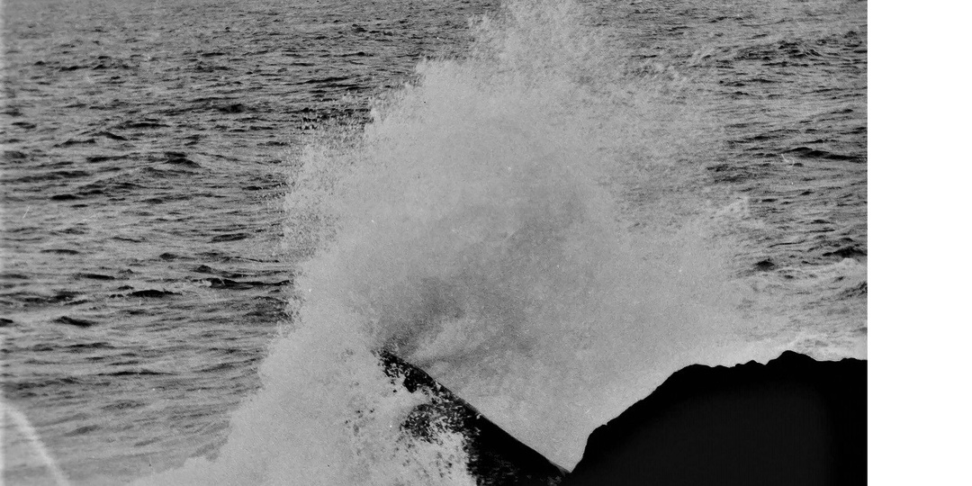 ЗЛОВРЕДНОЕ РЕЛЕ