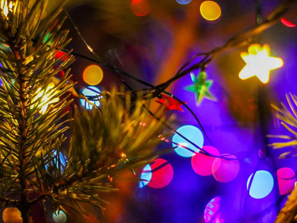    Фото: REGIONS/Эльвира Сафина