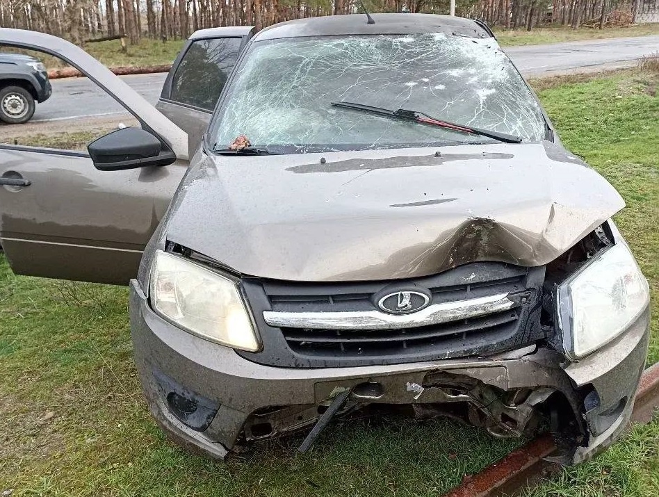    Фото: администрация городского округа Новая Каховка