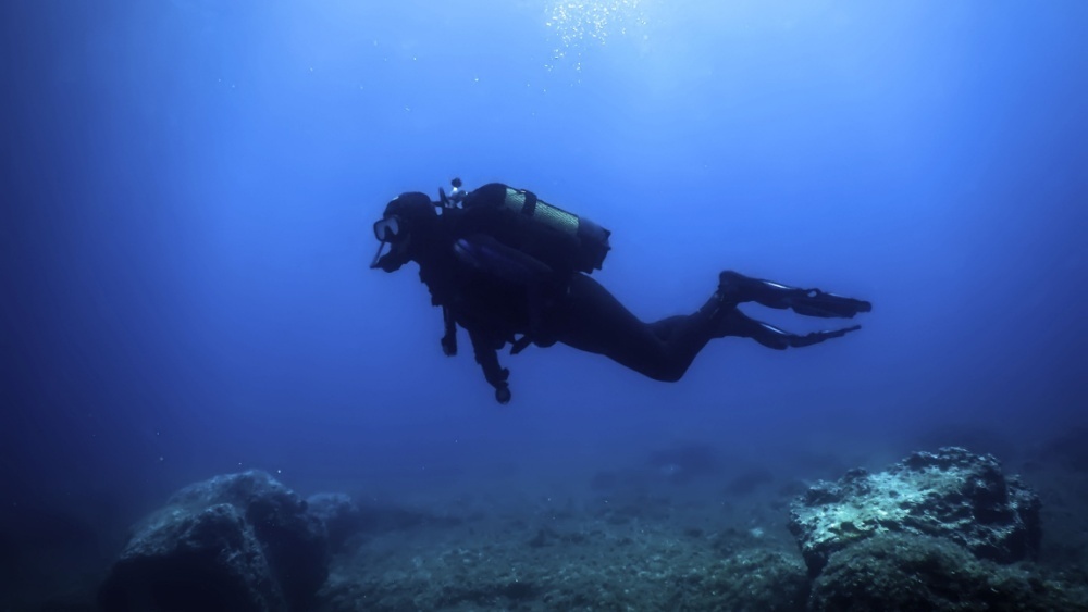     Фото: Allexxandar/Shutterstock/FOTODOM