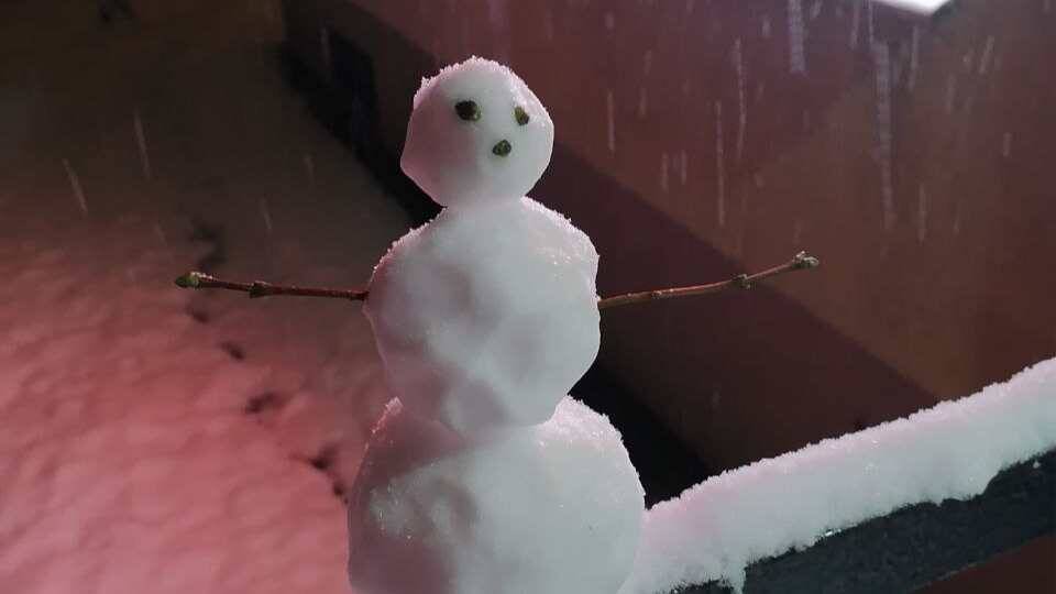 Холодной зимы в Ленобласти не будет: прогноз погоды на зиму 2025-2026