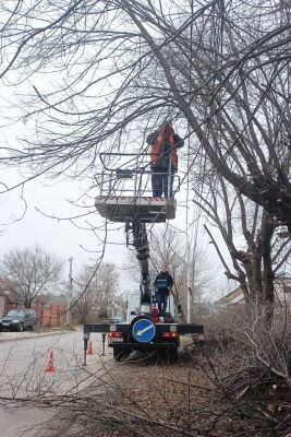    Фото: управления информации Воронежа