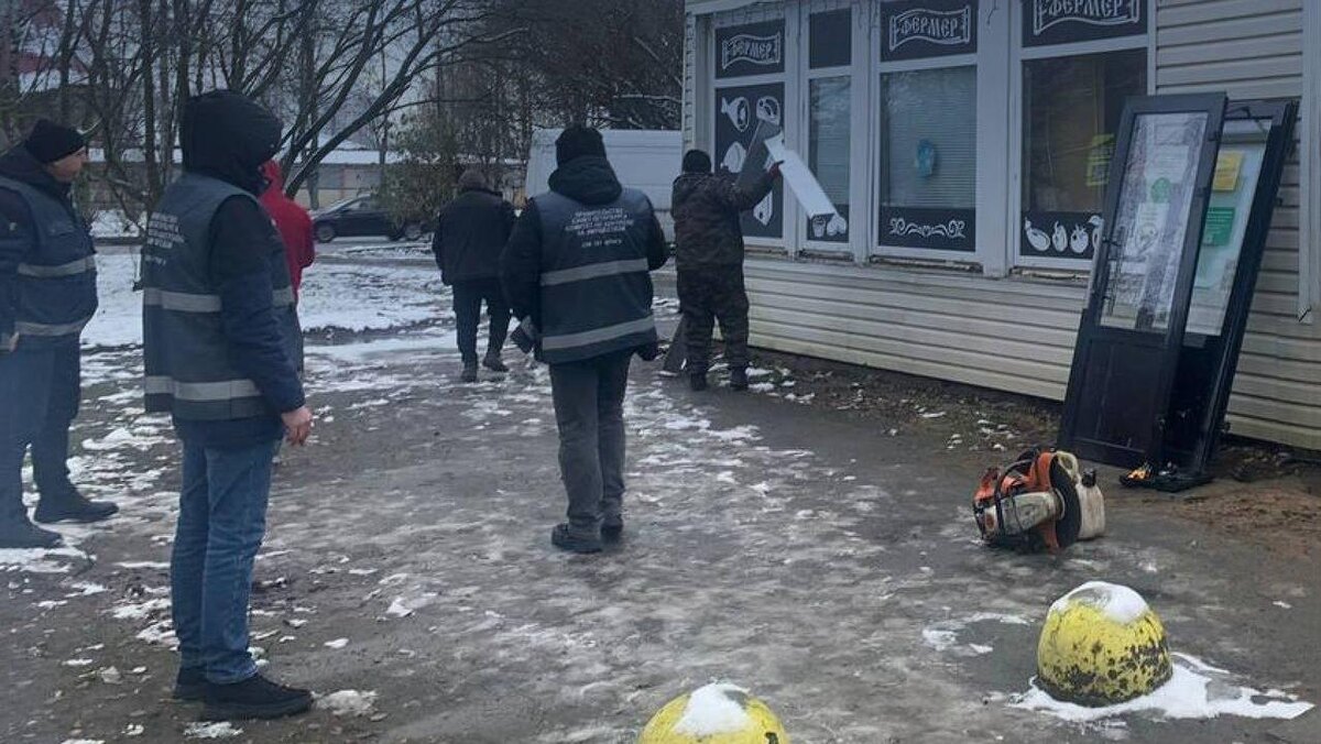    Фото: t.me/kkispb