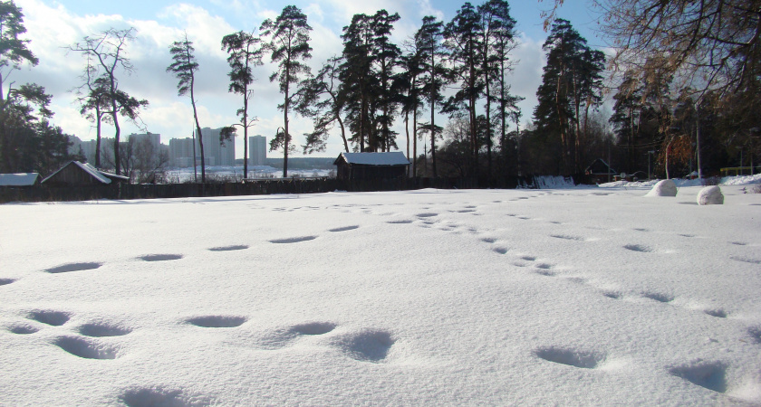    Зима на носу: синоптики дали новый прогноз - погода в России переходит на новый режим