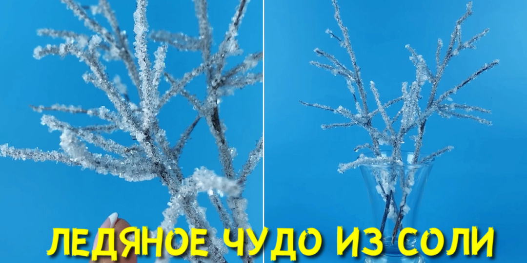Выращиваем кристаллы соли и создаем зимний декор с помощью науки