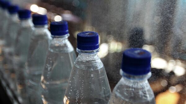    © Sputnik / Константин Чалабов