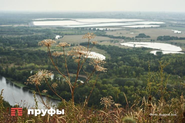    Фото: Пруфы.рф