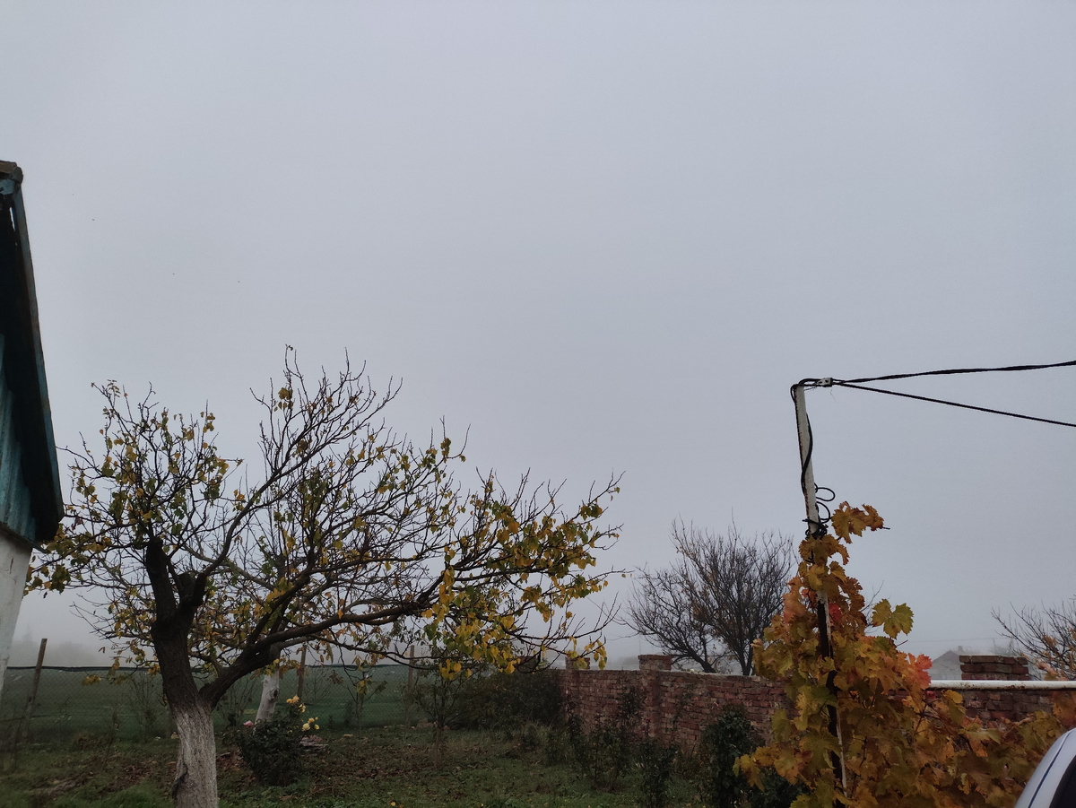 Существует только наш участок, дальше ничего нет....