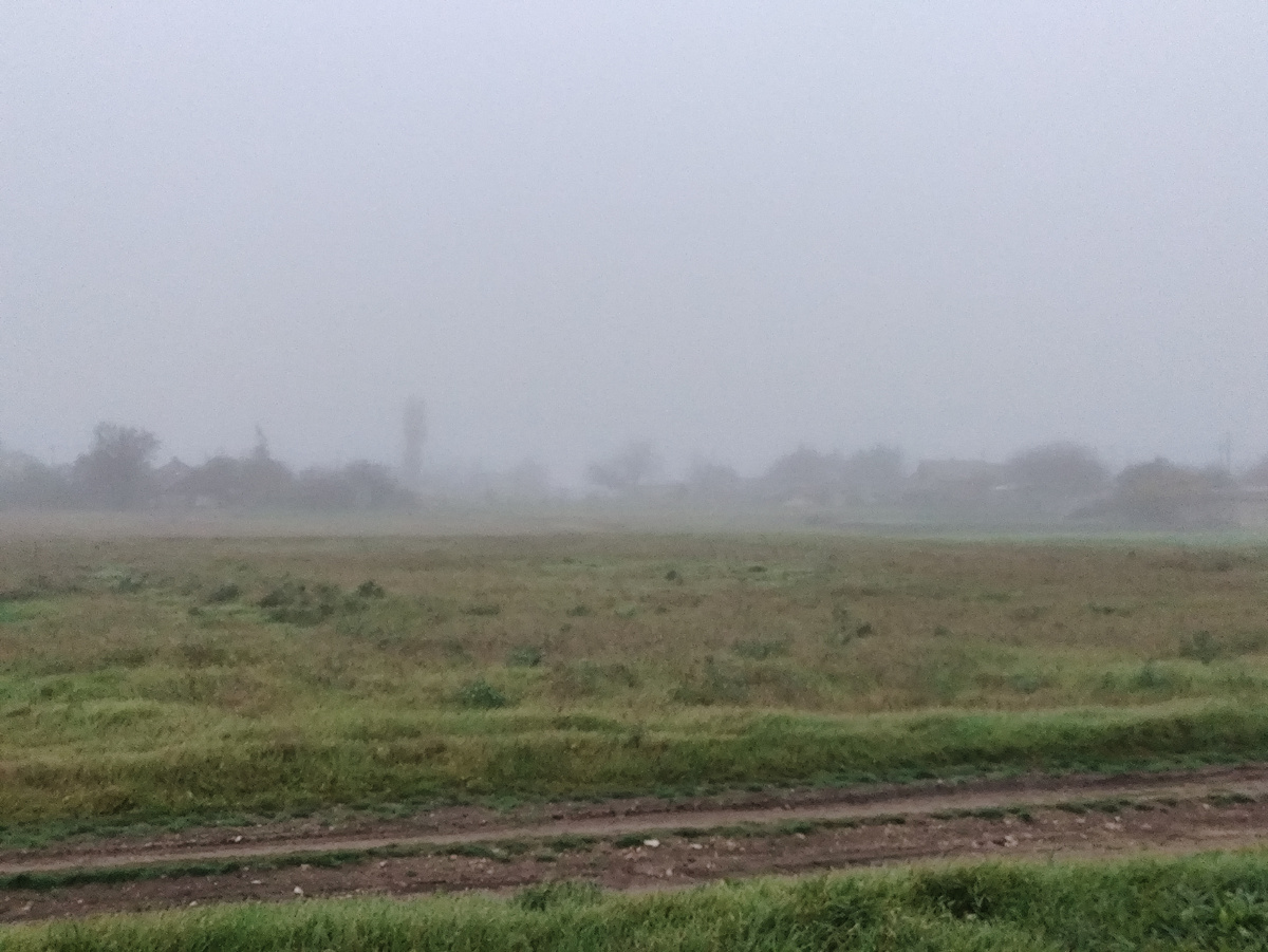 Все в молоке...