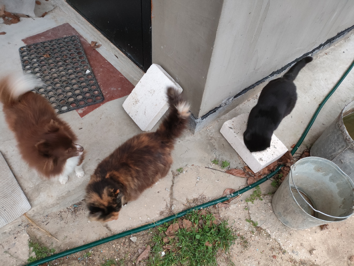 Даже не сильно похудел за двое суток....