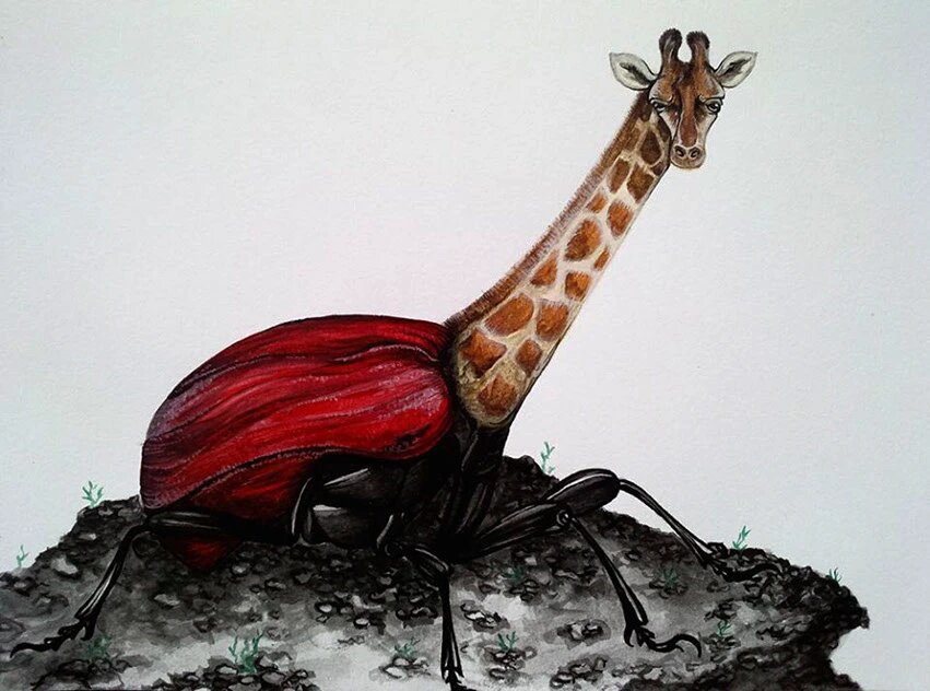 Изображение взято с открытых источников интернета 