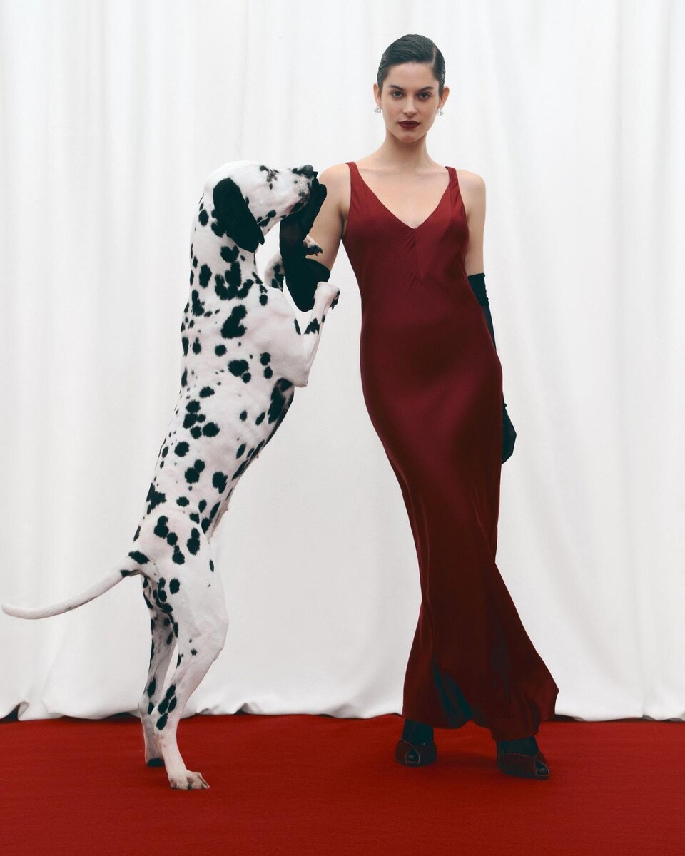    айм студио брнед сайт