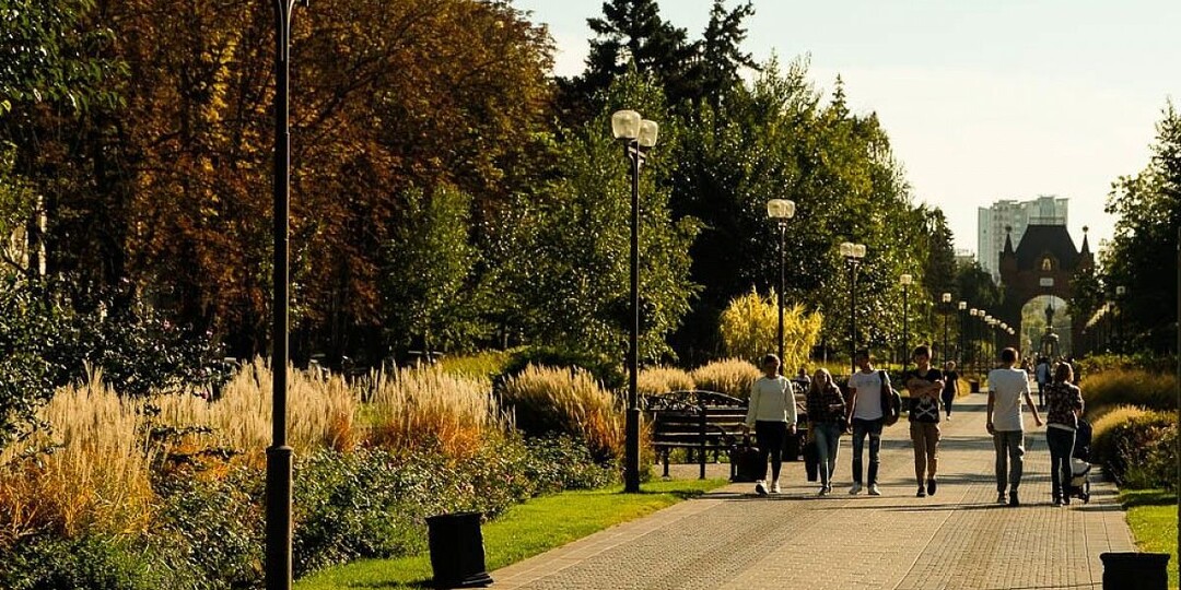 Температурный рекорд установила осень в Краснодаре. Новый салат с авокадо.