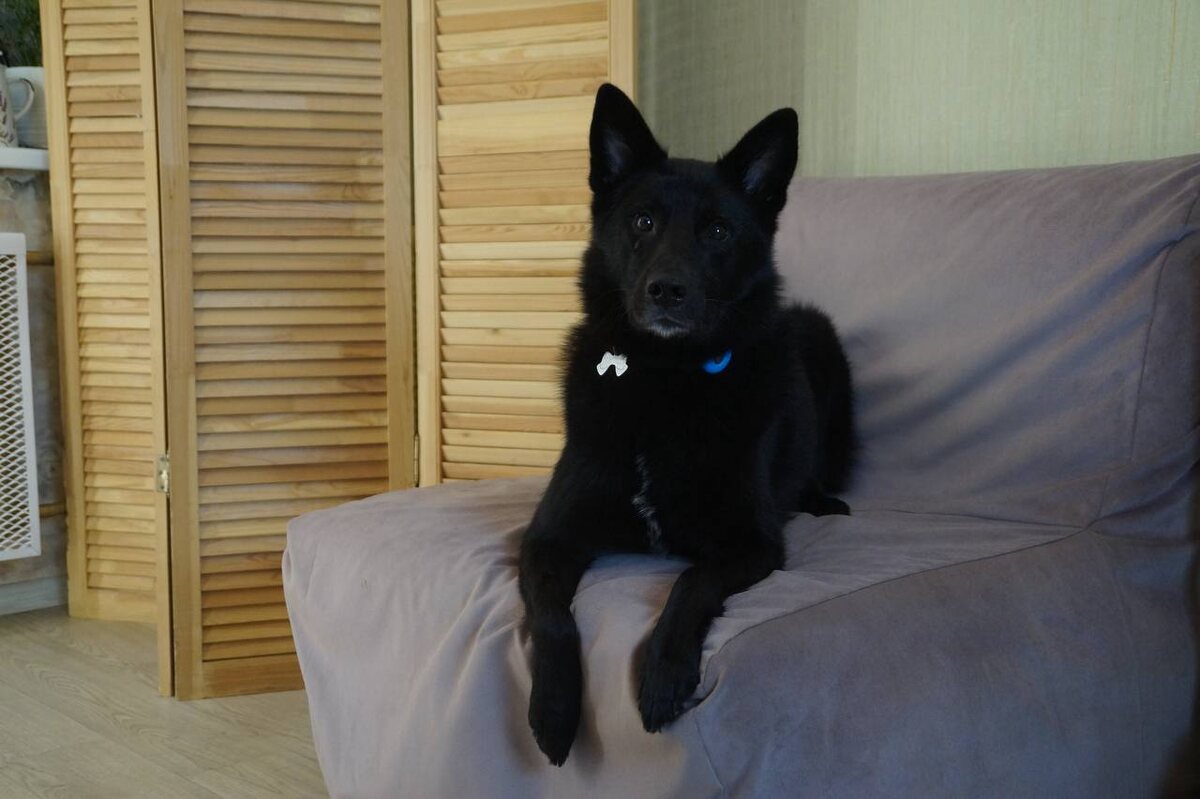 И снова здравствуйте