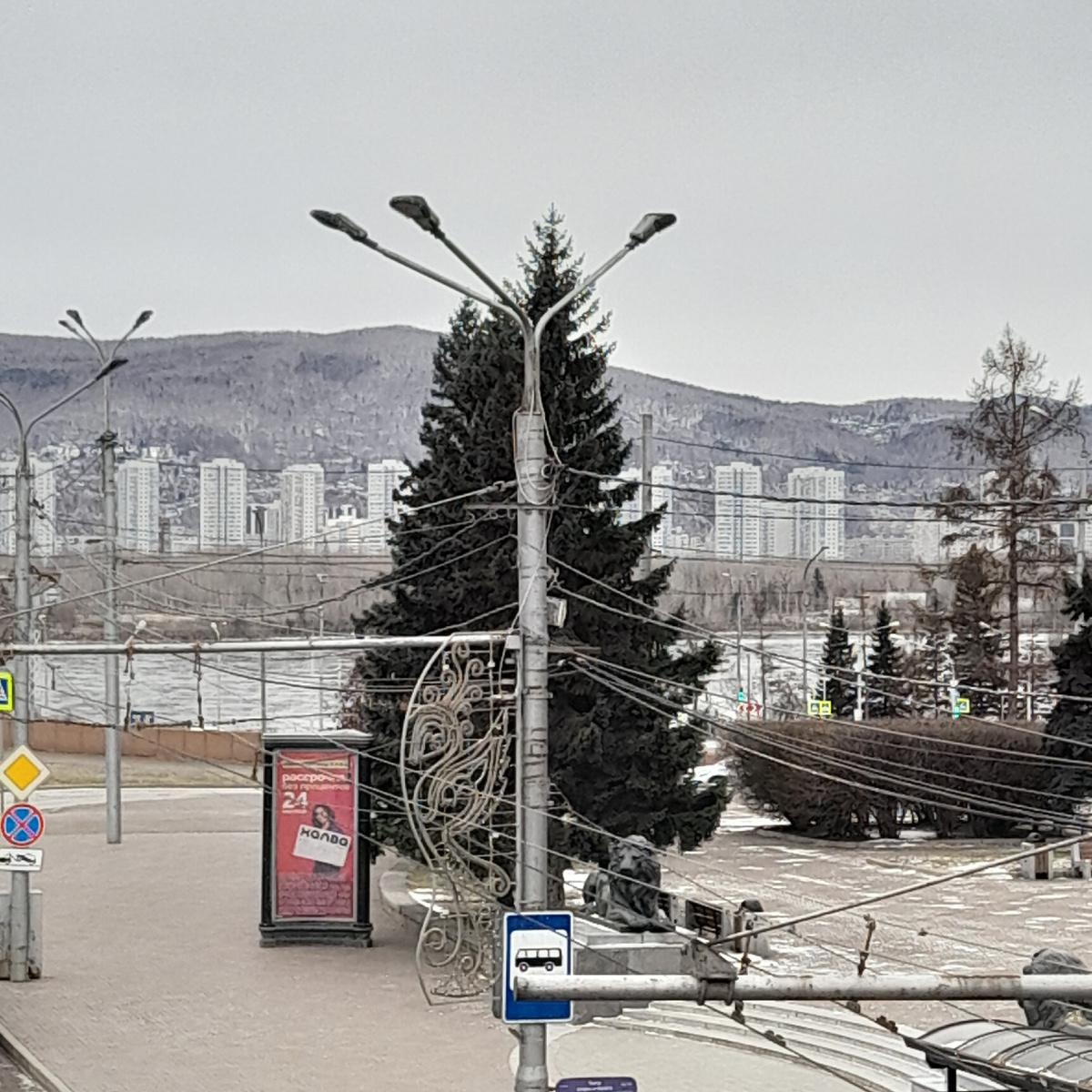 Фото автора. В городе