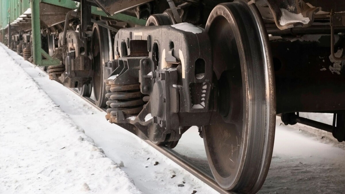    Фото: Mikhail Leonov/Shutterstock/Fotodom