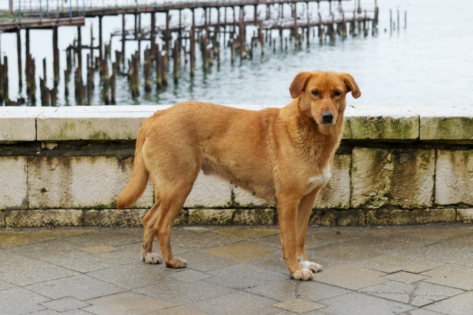    Сергей Петров/NEWS.ru