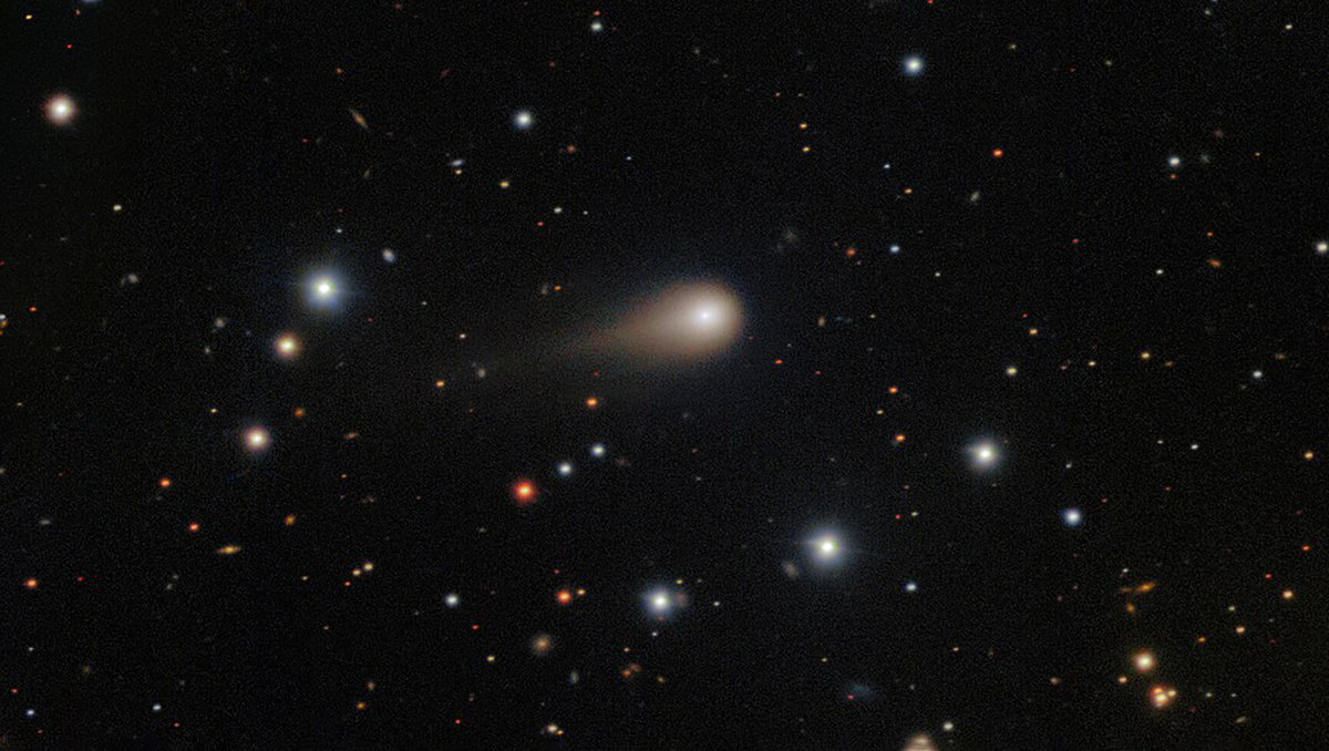     Фото: Wikipedia.org Объект сразу привлек внимание астрономов из-за своего необычного движения