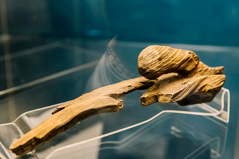 Фотография первой лыжи из журнала Регион