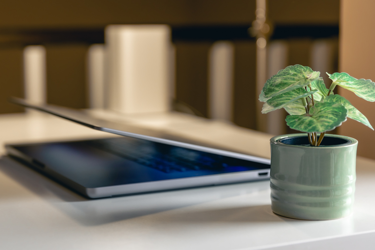 Зеленый уголок в офисе. Проектная группа ПЛАНЕТА