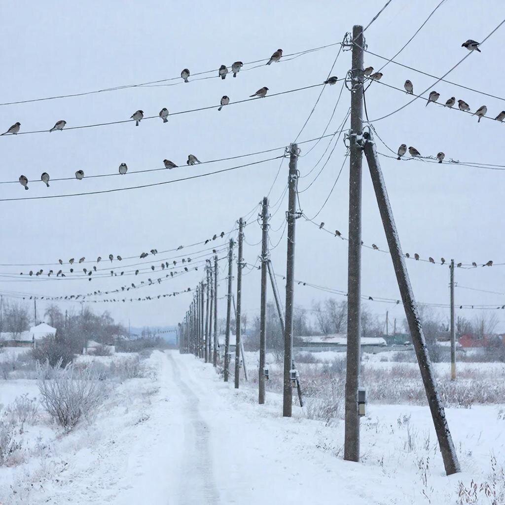 картинка ИИ