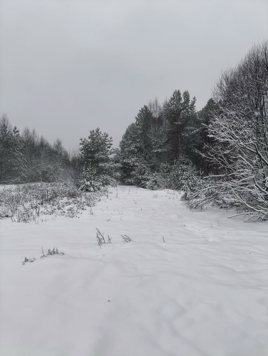    Фото: Редакция портала «Город Киров.RU»