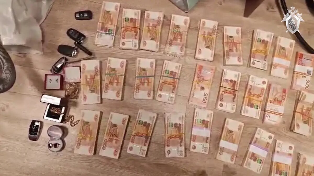    Фото: скриншот видео СУ СК России по Ленобласти