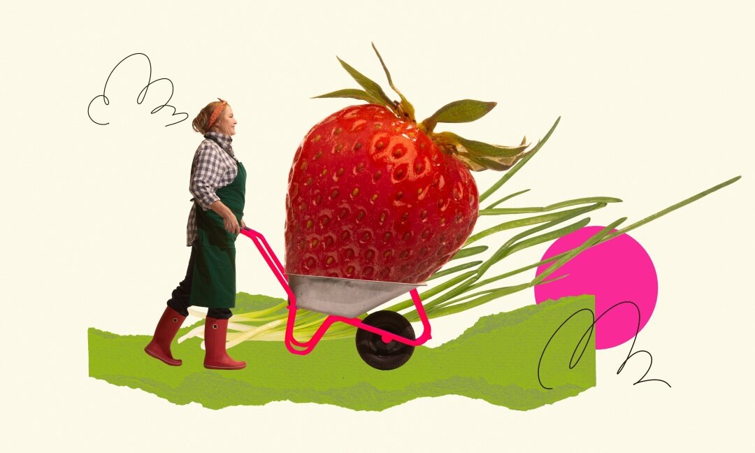    Фото: Master1305