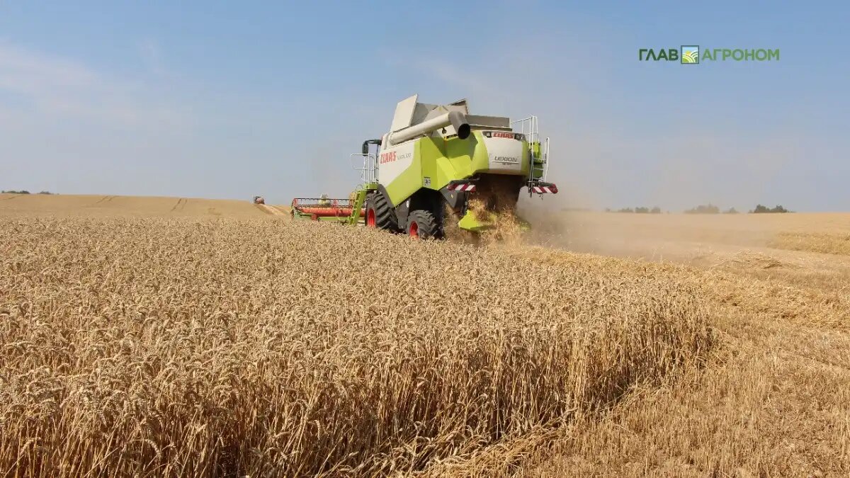 Фото:© Владимир Исаенко / Glavagronom.ru
Глава Минсельхоза РФ призвала аграриев не ждать роста мировых цен на пшеницу