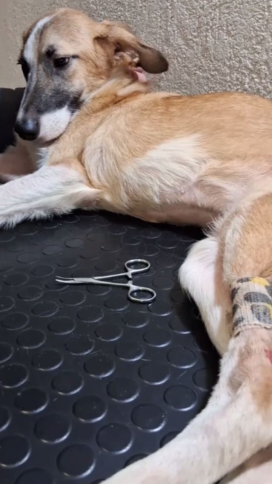 Ох и надоели мне эти больницы и эти врачи