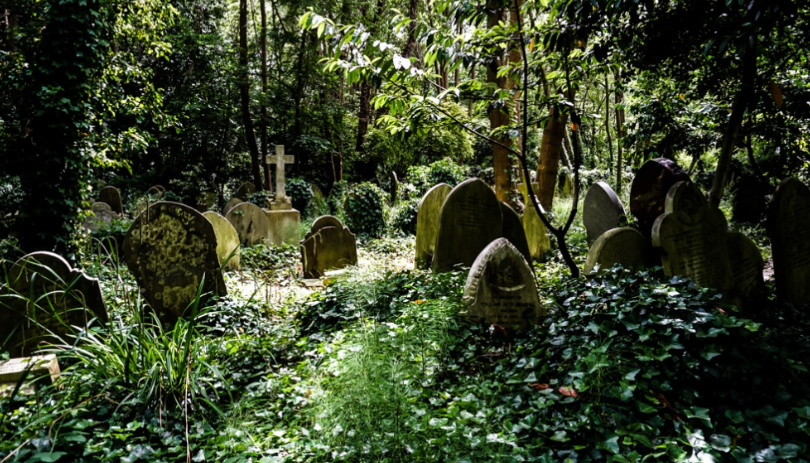 Фото: Хайгейтское кладбище 