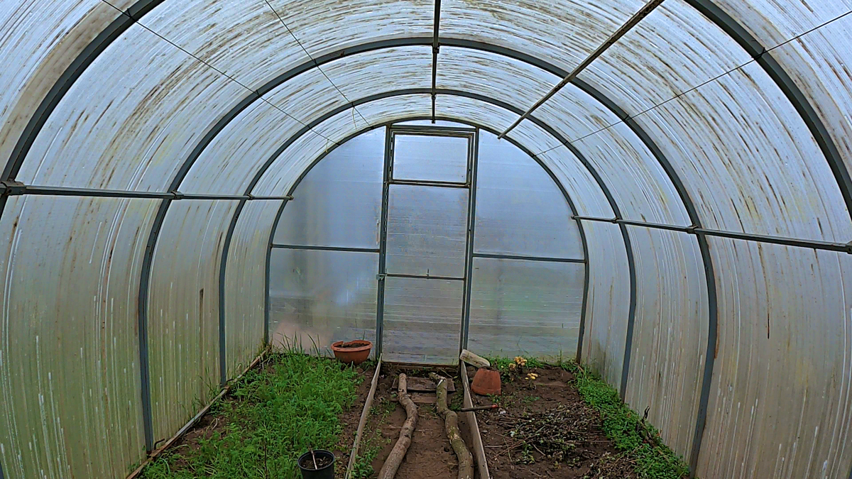 Обычнач дуговая теплица 