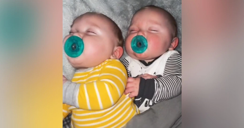 Скриншот: brennagrund | TikTok