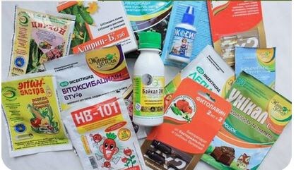 Биопрепараты: оригиналы и аналоги, мифы и реальность. Что работает, а что — пустышка?