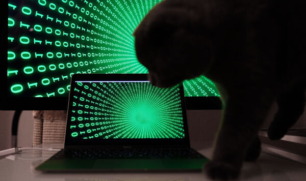 © Sputnik / Наталья Селиверстова