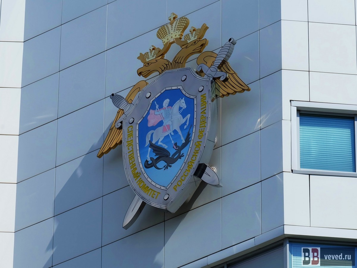     Фото: Владислав Постников / Вечерние Ведомости